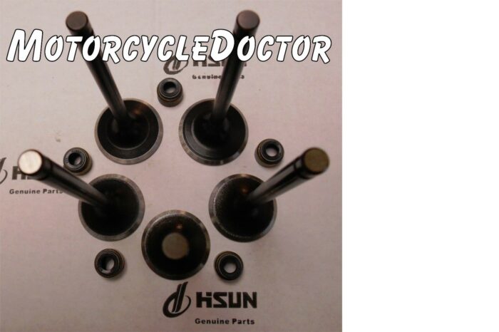 VALVE SET 700-750 Intake Exhaust Valves & Seals - Image 3
