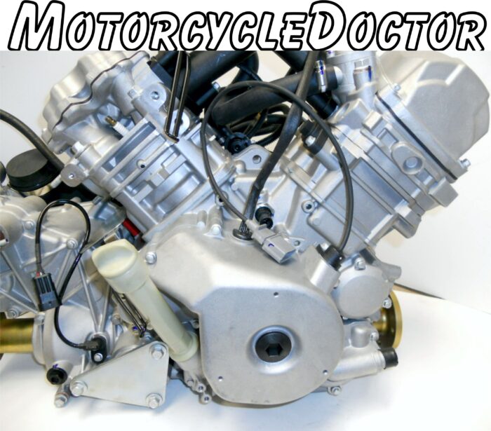 ODES 1000 Engine Complete Motor - Image 2