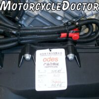 ODES 1000 Engine Complete Motor - Image 9