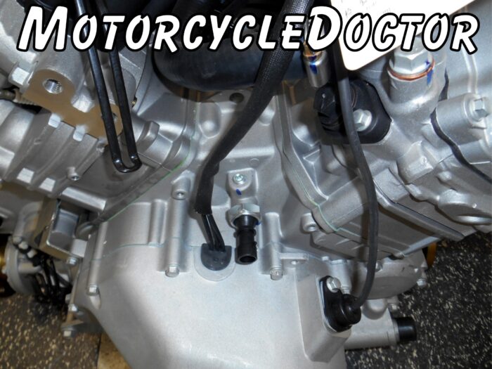 ODES 800 Engine Complete Motor - Image 6